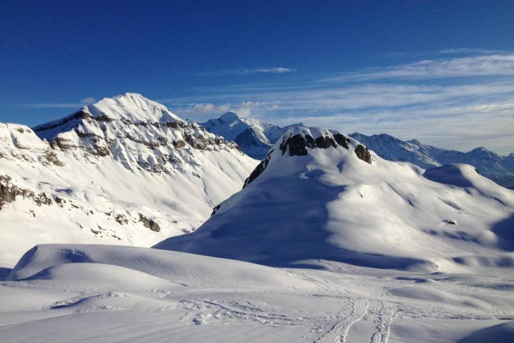 Eden Roc Grand Massif Lägenhet Les Carroz d'Araches Exteriör bild